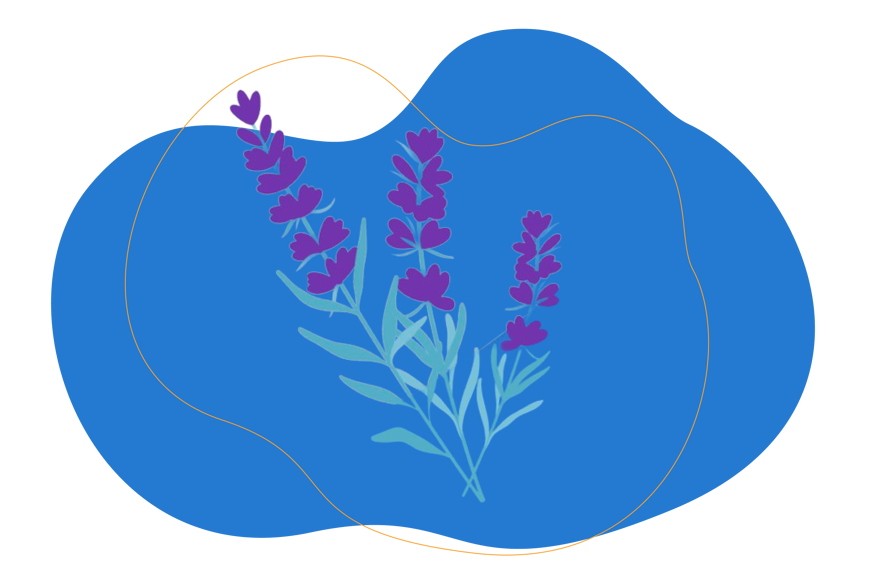 Flor de lavanda